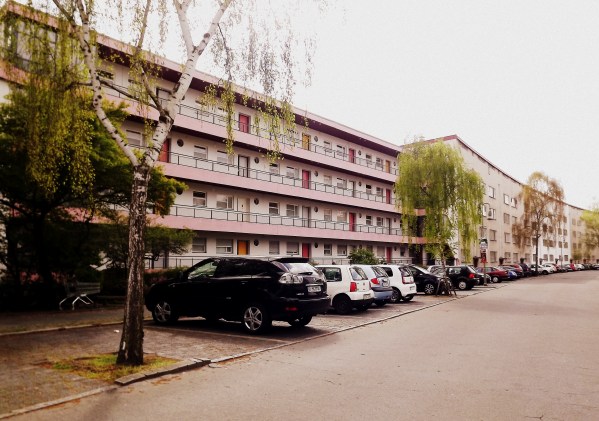 Шарун любил розавинькое