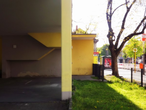 внутренности