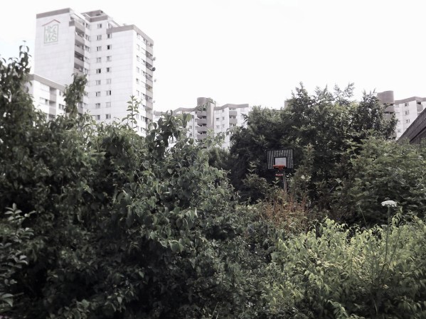 можно играть в баскет