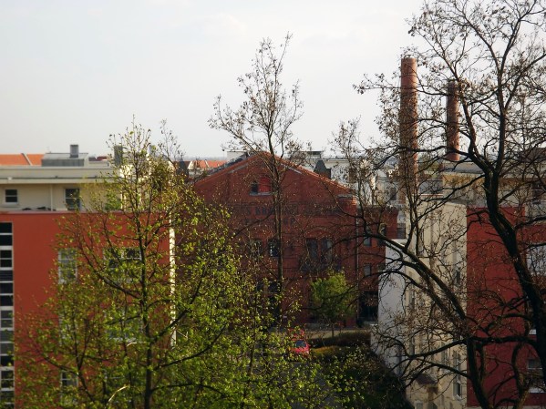 остатки Shultheiss