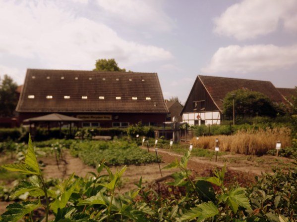 видите Страшилу?