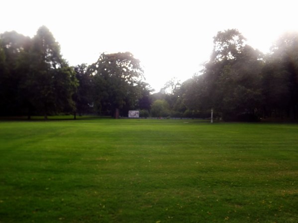 придворцовая лужайка