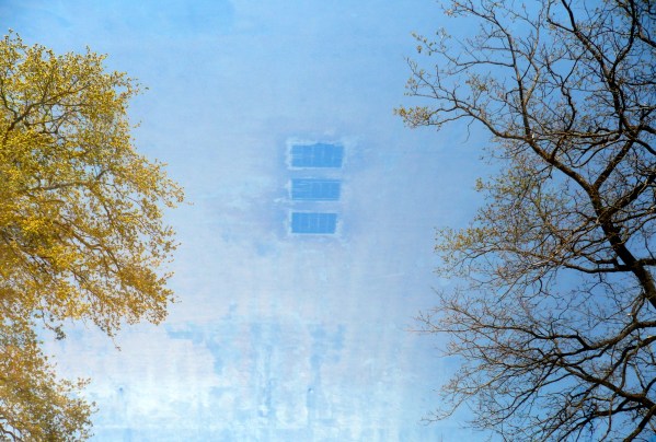 а это просто концептуальное фото